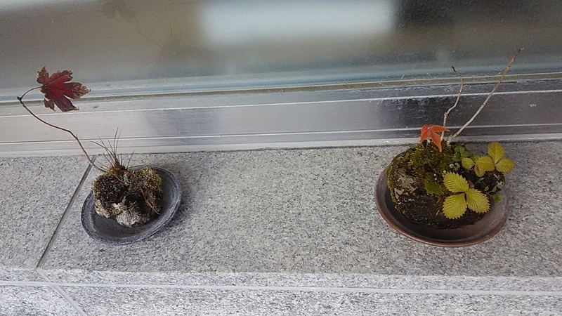 f:id:stantsiya_iriya:20191118190236j:plain f:id:stantsiya_iriya:20191118190236j:plain