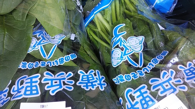 f:id:stantsiya_iriya:20191130163459j:plain