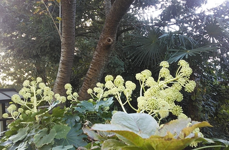 f:id:stantsiya_iriya:20191130163541j:plain