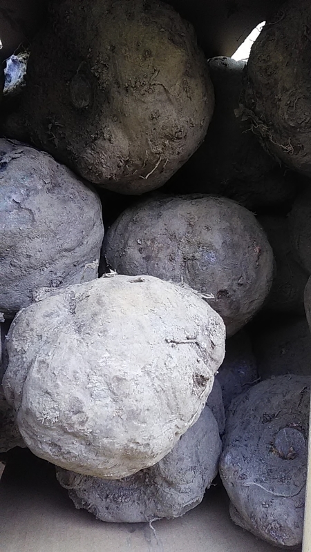 f:id:stantsiya_iriya:20191130163549j:plain