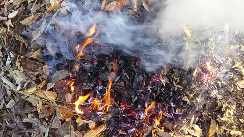 f:id:stantsiya_iriya:20191130163609j:plain