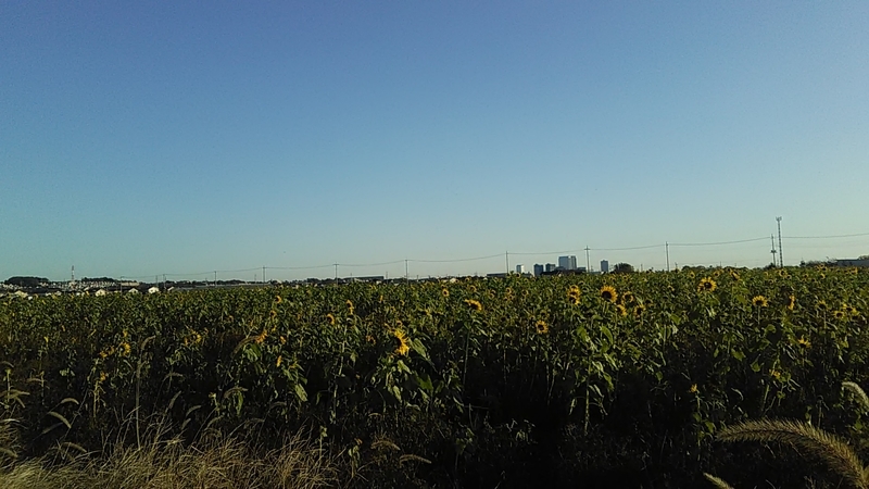 f:id:stantsiya_iriya:20191130163628j:plain