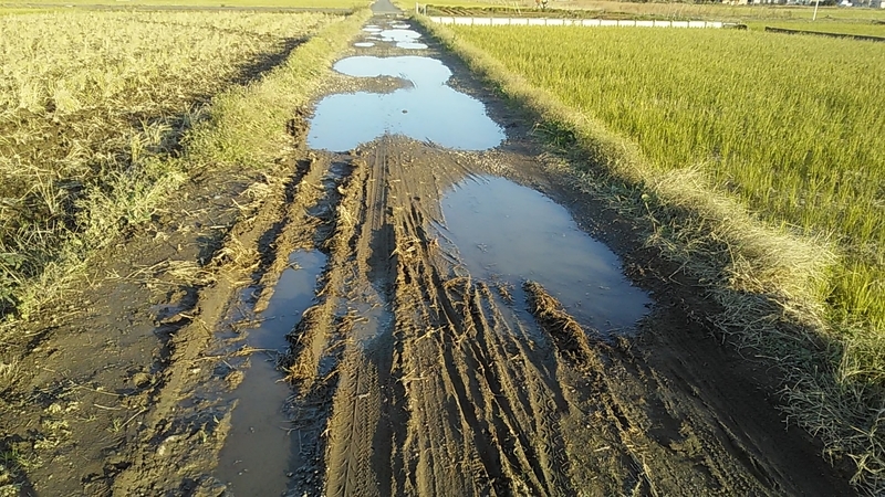 f:id:stantsiya_iriya:20191130163634j:plain