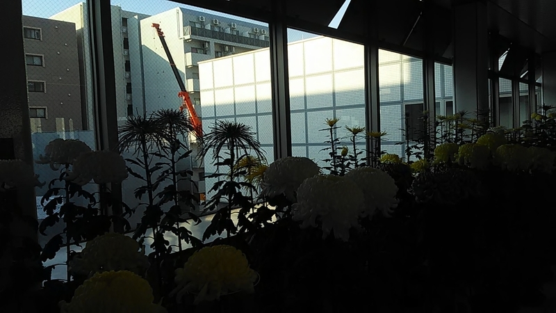 f:id:stantsiya_iriya:20191202074141j:plain