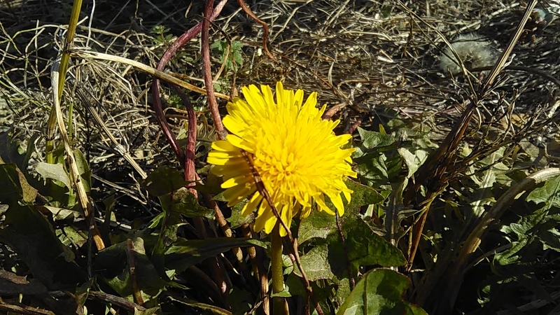 f:id:stantsiya_iriya:20191215191654j:plain f:id:stantsiya_iriya:20191215191654j:plain