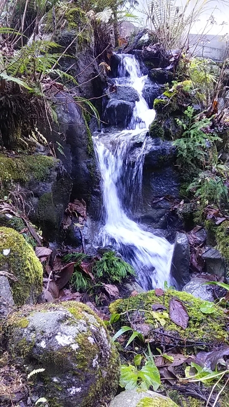 f:id:stantsiya_iriya:20200113202722j:plain