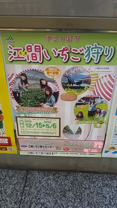 f:id:stantsiya_iriya:20200113203034j:plain