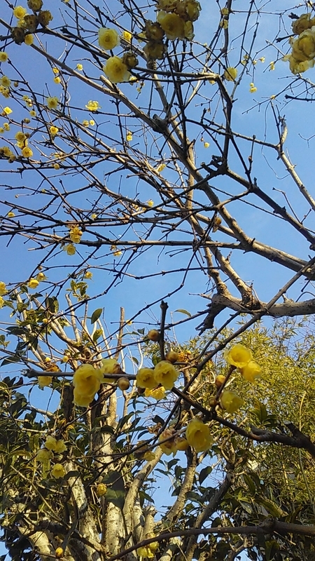 f:id:stantsiya_iriya:20200202175552j:plain f:id:stantsiya_iriya:20200202175552j:plain