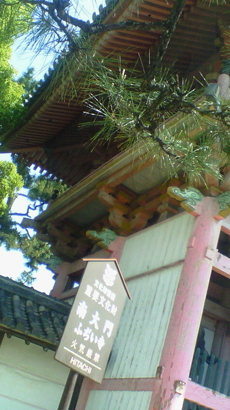 f:id:stantsiya_iriya:20200226212720j:plain f:id:stantsiya_iriya:20200226212720j:plain