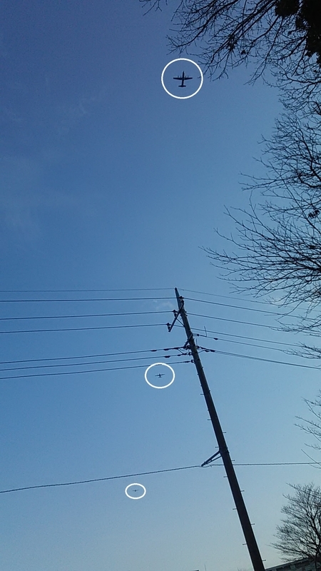 f:id:stantsiya_iriya:20200303165003j:plain f:id:stantsiya_iriya:20200303165003j:plain