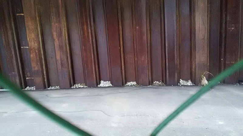 f:id:stantsiya_iriya:20200310072749j:plain