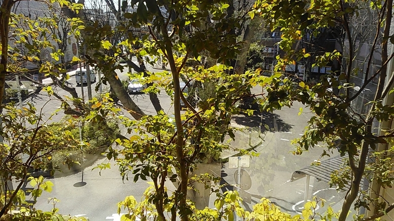 f:id:stantsiya_iriya:20200311104532j:plain