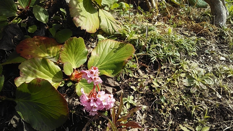 f:id:stantsiya_iriya:20200315125506j:plain f:id:stantsiya_iriya:20200315125506j:plain