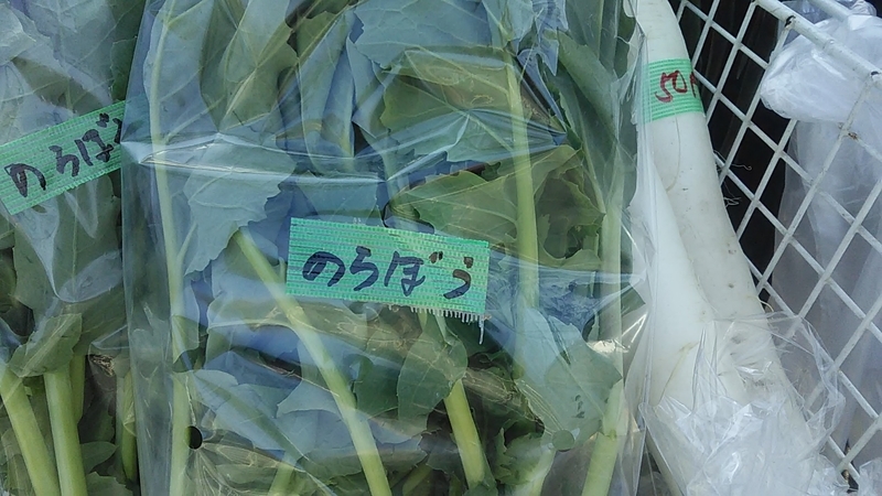 f:id:stantsiya_iriya:20200319202407j:plain