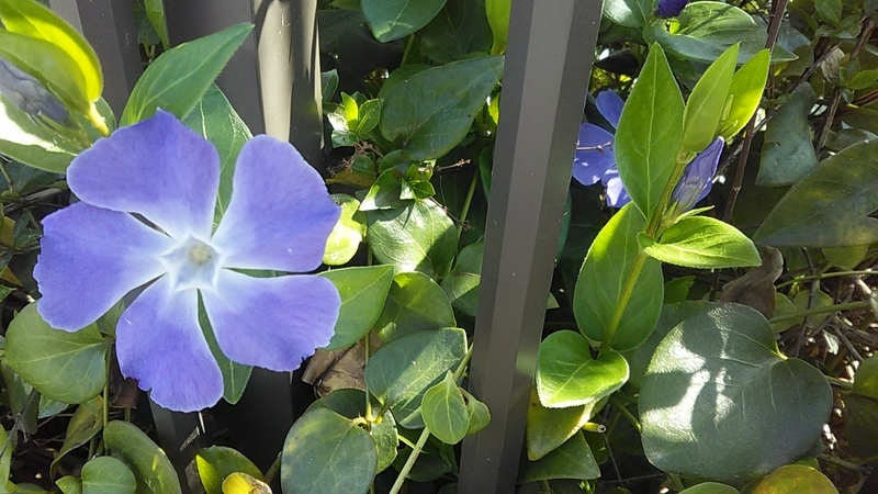 f:id:stantsiya_iriya:20200319202433j:plain