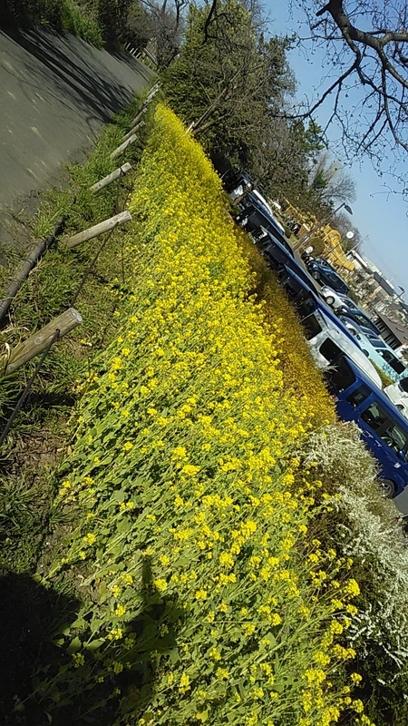 f:id:stantsiya_iriya:20200319202838j:plain