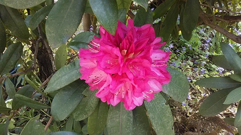 f:id:stantsiya_iriya:20200322183809j:plain