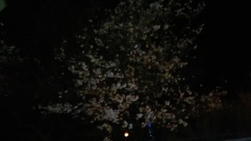 f:id:stantsiya_iriya:20200325185255j:plain f:id:stantsiya_iriya:20200325185255j:plain