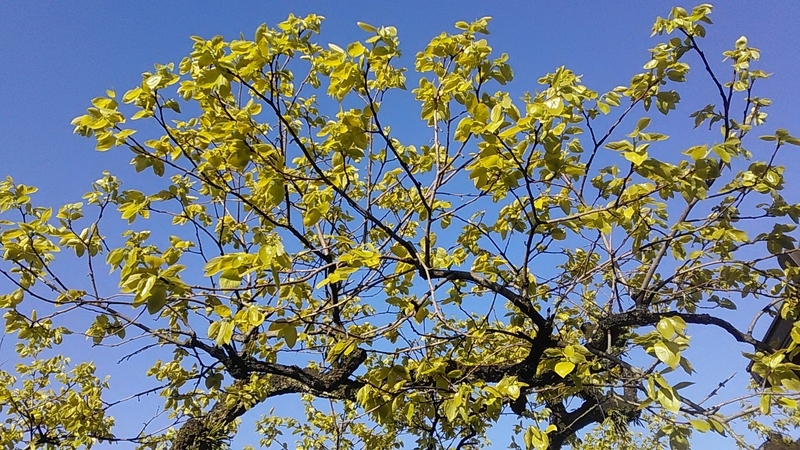 f:id:stantsiya_iriya:20200414185842j:plain f:id:stantsiya_iriya:20200414185842j:plain