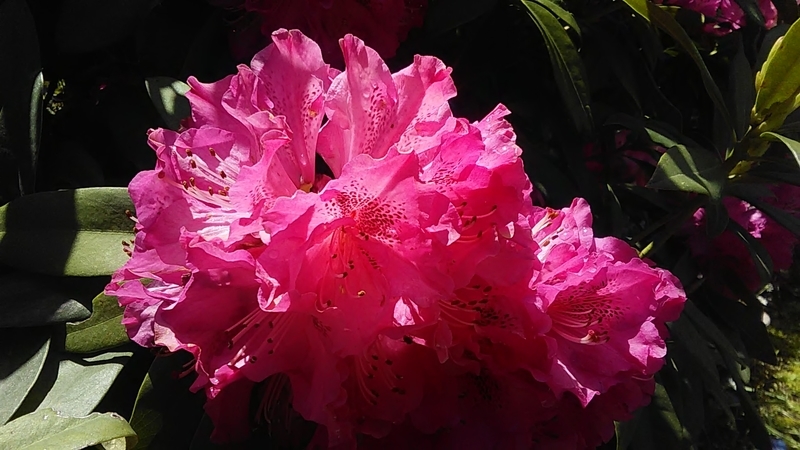 f:id:stantsiya_iriya:20200414185858j:plain f:id:stantsiya_iriya:20200414185858j:plain