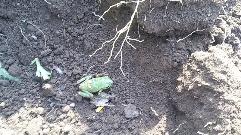 f:id:stantsiya_iriya:20200426174547j:plain