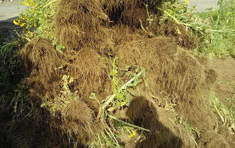 f:id:stantsiya_iriya:20200426174553j:plain