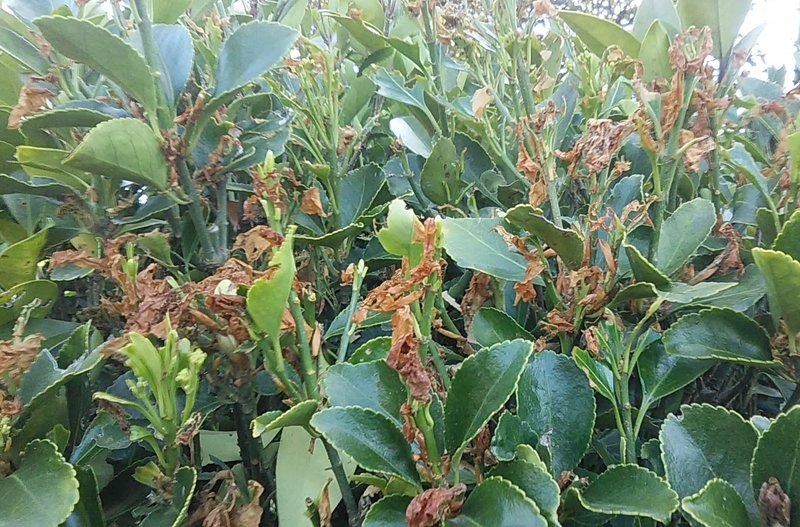 f:id:stantsiya_iriya:20200426174628j:plain