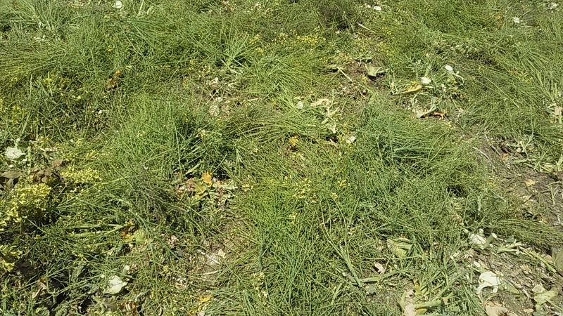 f:id:stantsiya_iriya:20200426174702j:plain