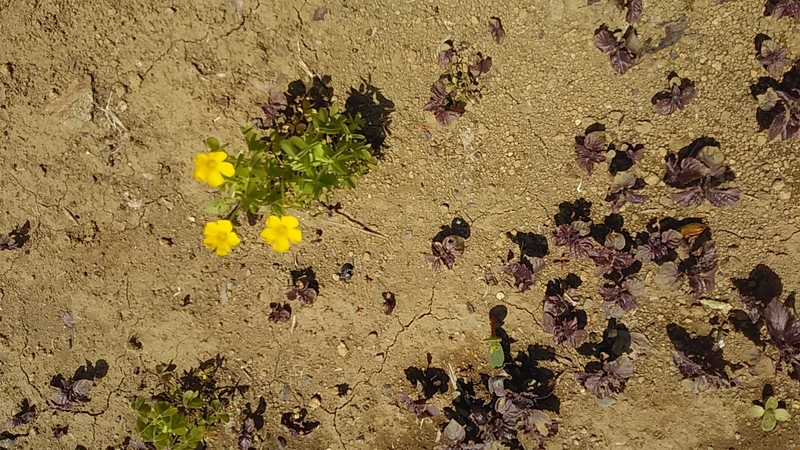 f:id:stantsiya_iriya:20200426174726j:plain