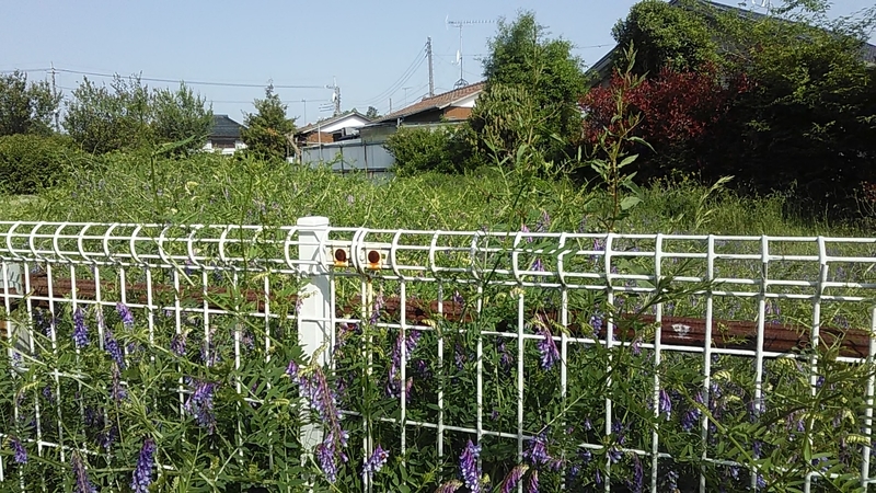 f:id:stantsiya_iriya:20200514224737j:plain f:id:stantsiya_iriya:20200514224737j:plain