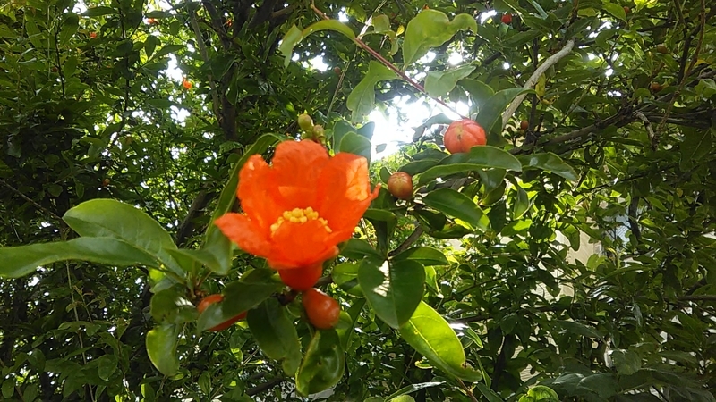 f:id:stantsiya_iriya:20200604220927j:plain f:id:stantsiya_iriya:20200604220927j:plain