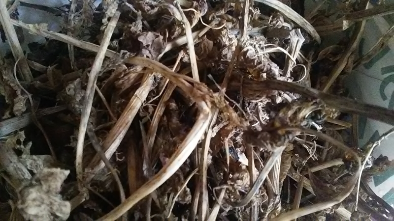 f:id:stantsiya_iriya:20200607194404j:plain f:id:stantsiya_iriya:20200607194404j:plain