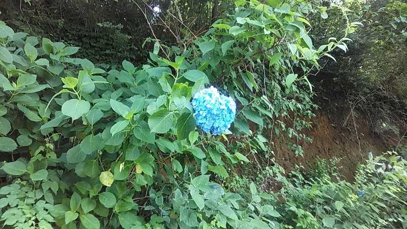 f:id:stantsiya_iriya:20200607194647j:plain f:id:stantsiya_iriya:20200607194647j:plain