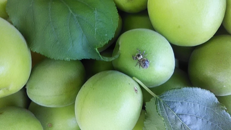 f:id:stantsiya_iriya:20200607194723j:plain f:id:stantsiya_iriya:20200607194723j:plain