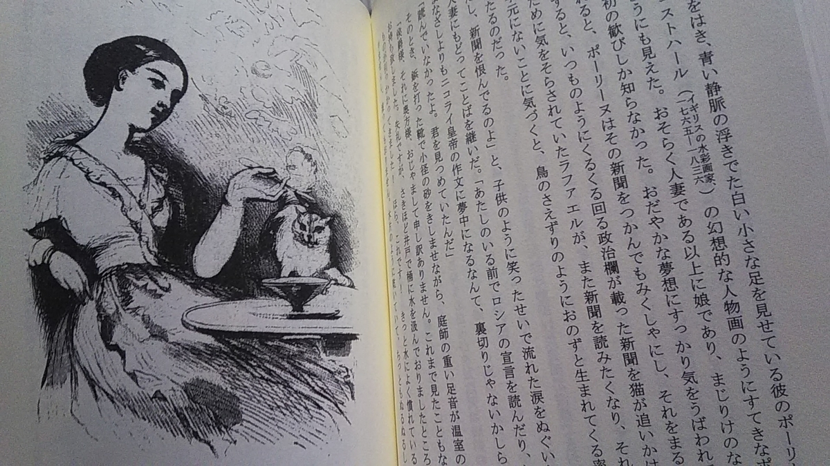 あら皮 ―欲望の哲学』