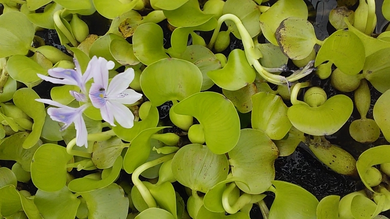 f:id:stantsiya_iriya:20200630183522j:plain