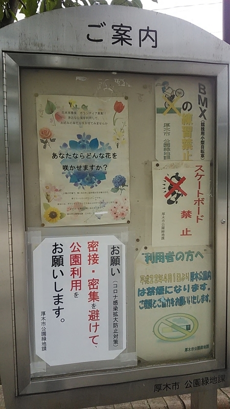 f:id:stantsiya_iriya:20200630183708j:plain