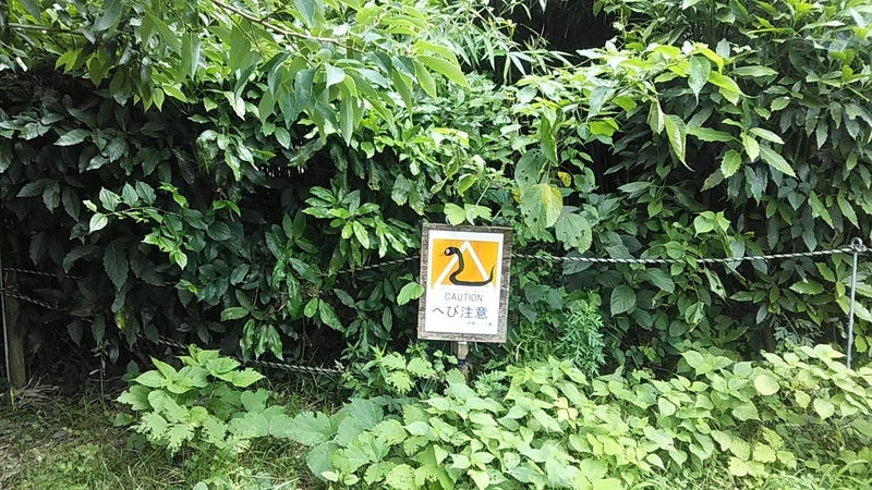 f:id:stantsiya_iriya:20200630183857j:plain