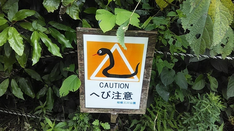 f:id:stantsiya_iriya:20200630183907j:plain