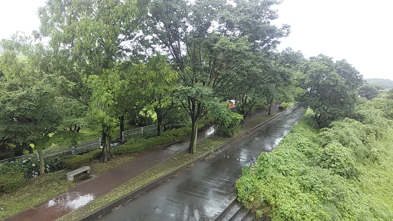 f:id:stantsiya_iriya:20200706160252j:plain f:id:stantsiya_iriya:20200706160252j:plain