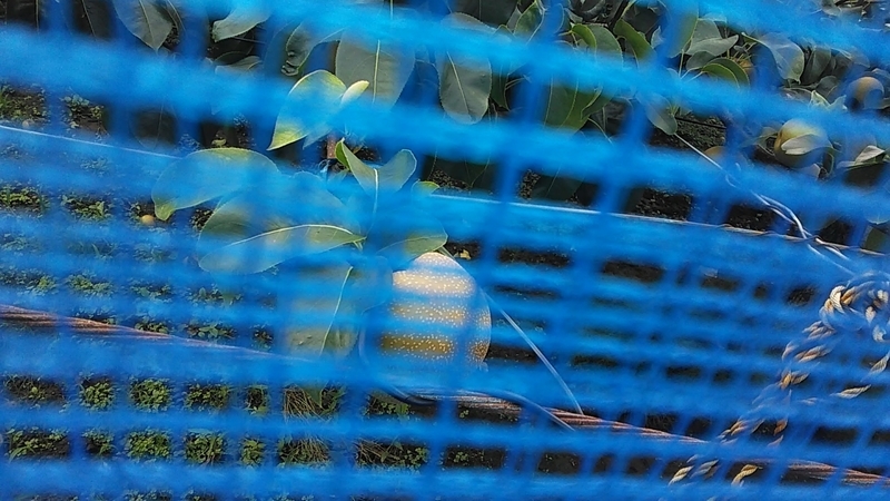 f:id:stantsiya_iriya:20200727185403j:plain