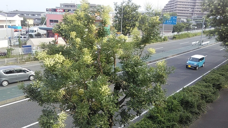 f:id:stantsiya_iriya:20200815110648j:plain f:id:stantsiya_iriya:20200815110648j:plain