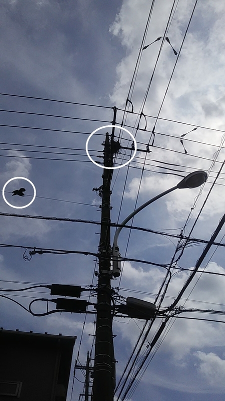 f:id:stantsiya_iriya:20200920092944j:plain