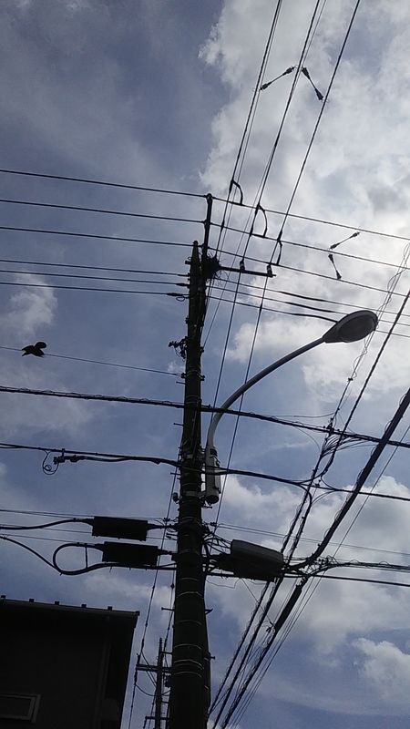 f:id:stantsiya_iriya:20200920092950j:plain