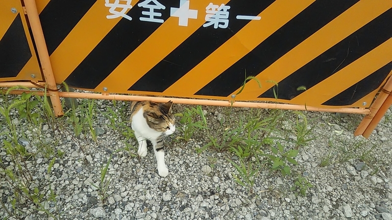 f:id:stantsiya_iriya:20200920093052j:plain