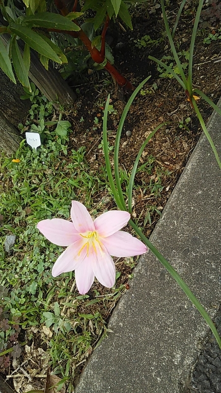 f:id:stantsiya_iriya:20200920102828j:plain