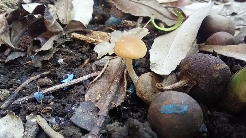 f:id:stantsiya_iriya:20200929180524j:plain