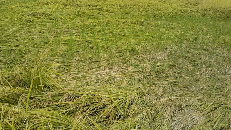 f:id:stantsiya_iriya:20200929180546j:plain