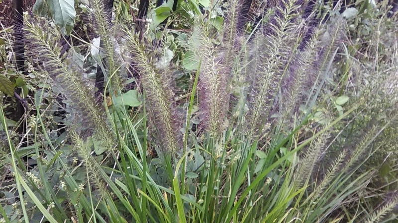 f:id:stantsiya_iriya:20200929180554j:plain