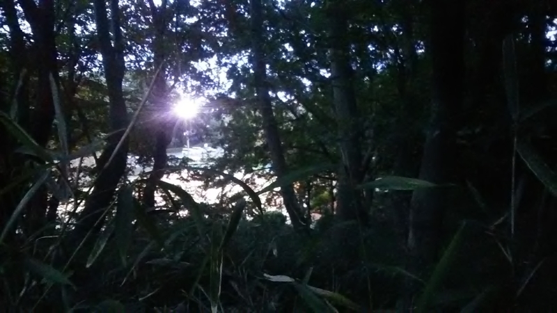 f:id:stantsiya_iriya:20200929180600j:plain